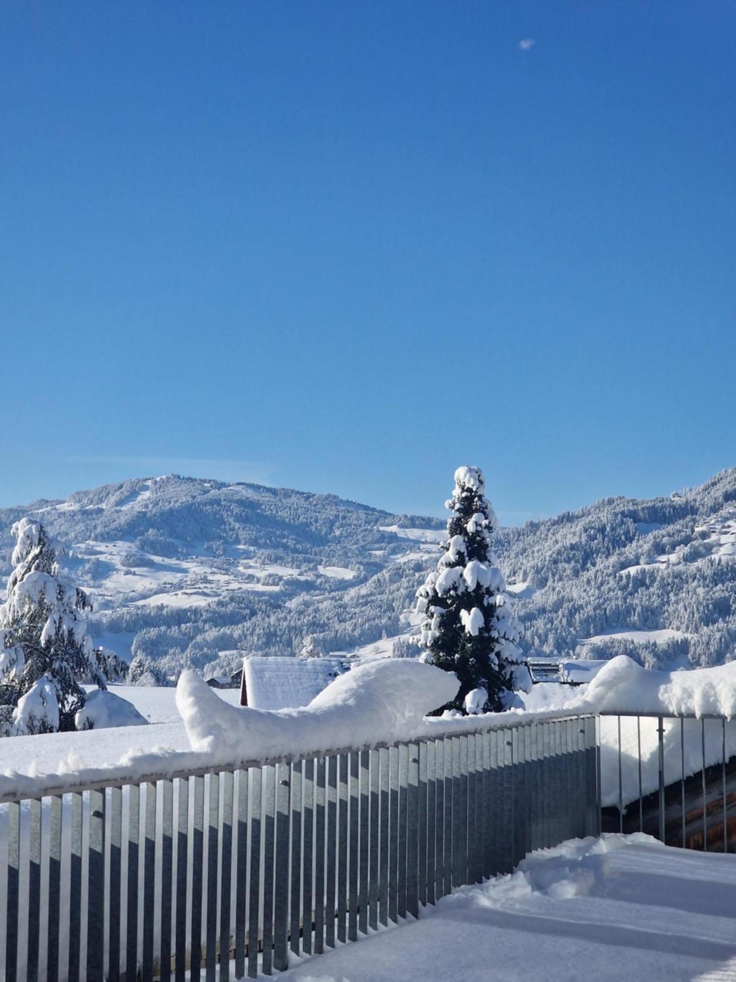 Familienhotel Adler Lingenau Exterior photo